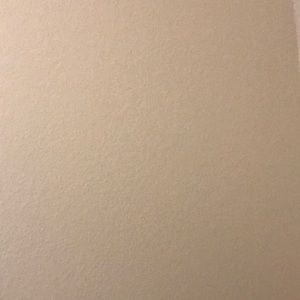 Meet your Posher, Ava